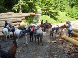  Pausa para caballos y jinetes 